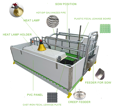 sow farrowing crate