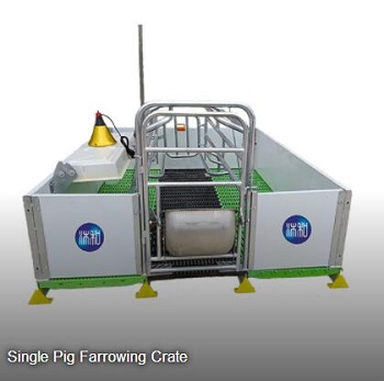 Single Pig Farrowing Crate