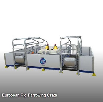 European Pig Farrowing Crate