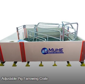 Adjustable Pig Farrowing Crate