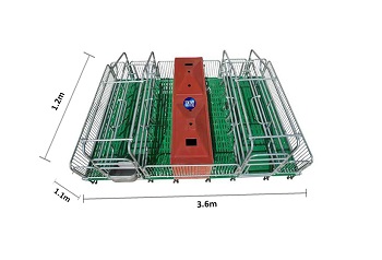 Farrowing Crate For Sale In China