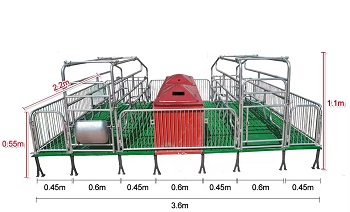 Farrowing Crate For Sale In China