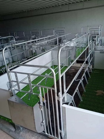 Pvc Pig Farrowing Crate Manufacturers&Suppliers