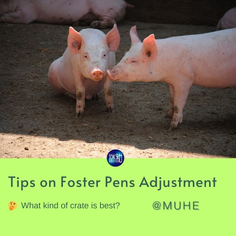 Tips on Foster Pens Adjustment