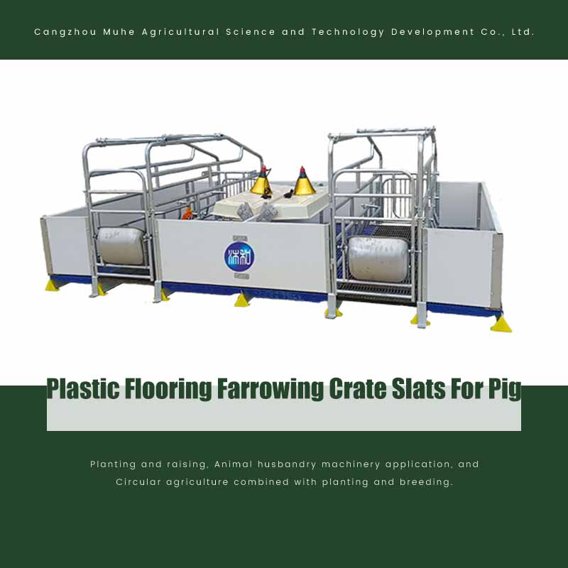 Plastic Flooring Farrowing Crate Slats For Pig