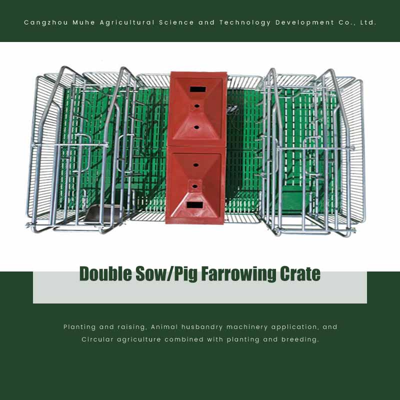 Double Sow/Pig Farrowing Crate