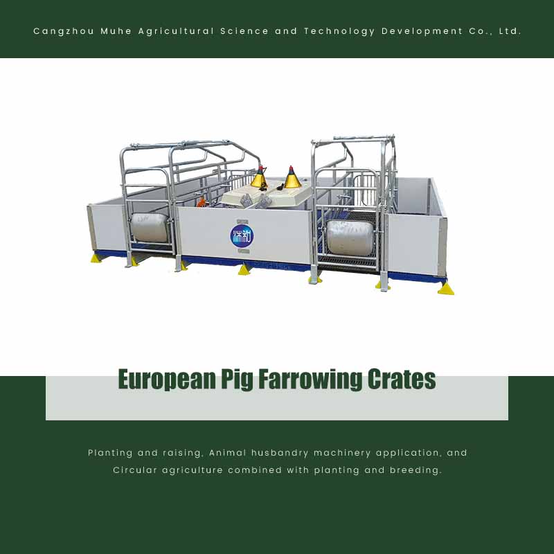 European Pig Farrowing Crates