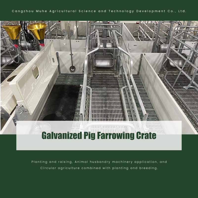 Galvanized Pig Farrowing Crate