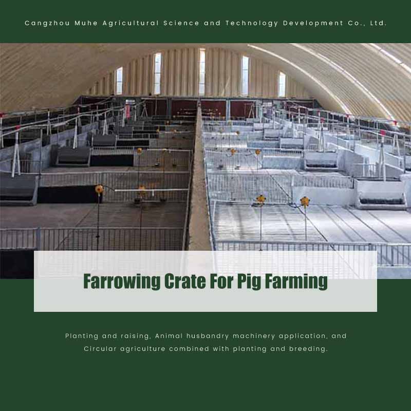 Farrowing Crate For Pig Farming