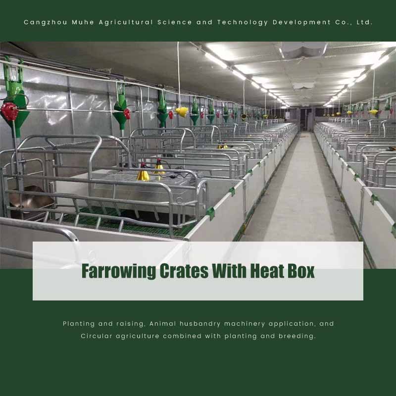 Farrowing Crates With Heat Box