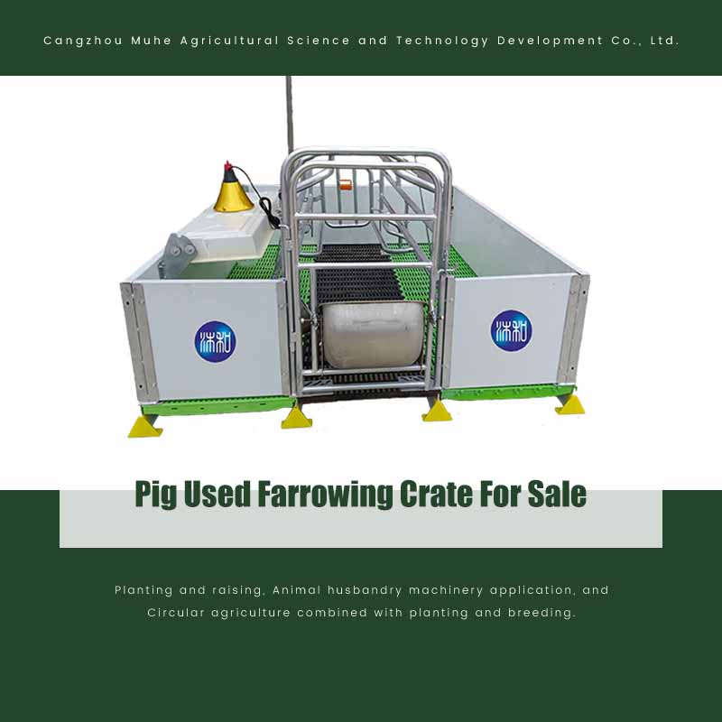 Pig Used Farrowing Crate For Sale