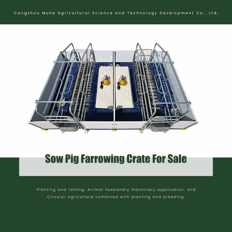 Sow Pig Farrowing Crate For Sale