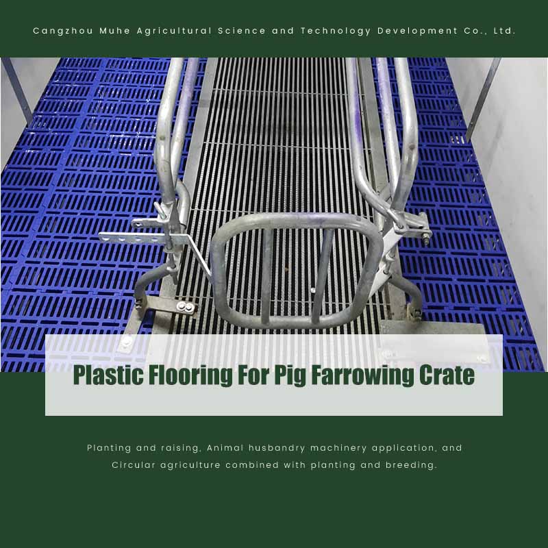 Plastic Flooring For Pig Farrowing Crate