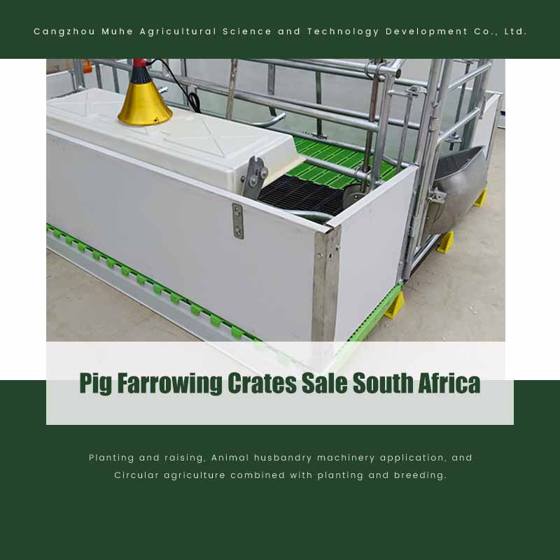 Pig Farrowing Crates Sale South Africa