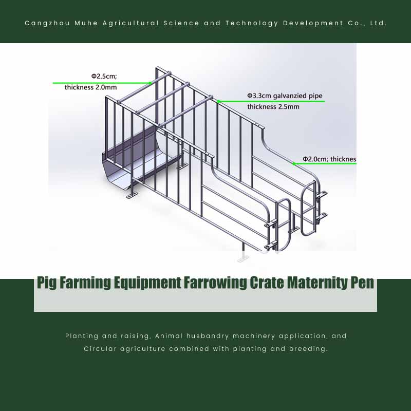 Pig Farming Equipment Farrowing Crate Maternity Pen