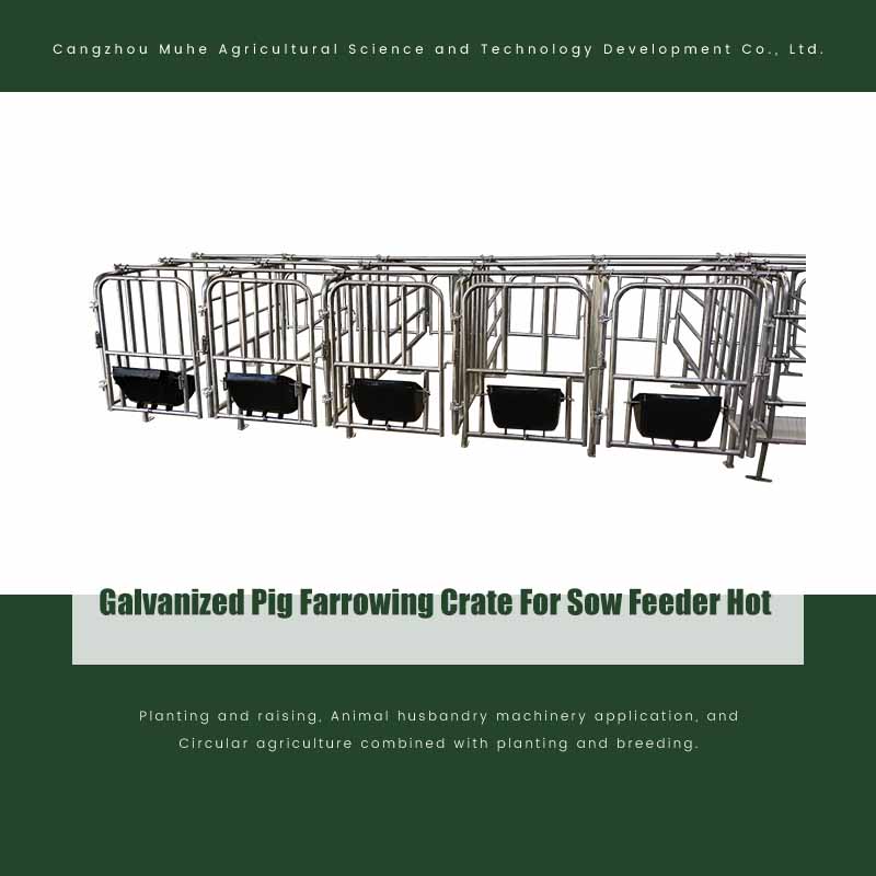 Galvanized Pig Farrowing Crate For Sow Feeder Hot