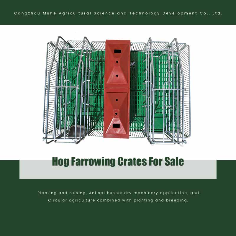 Hog Farrowing Crates For Sale