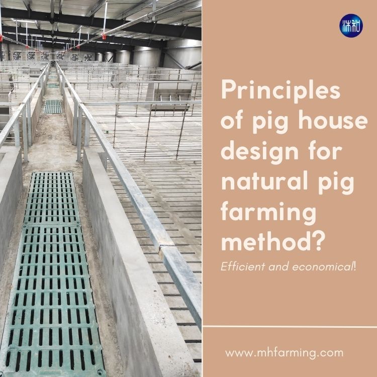 PIG HOUSE BUILD.jpg